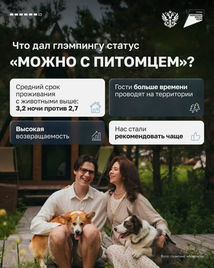 _pets_aivengo.webp