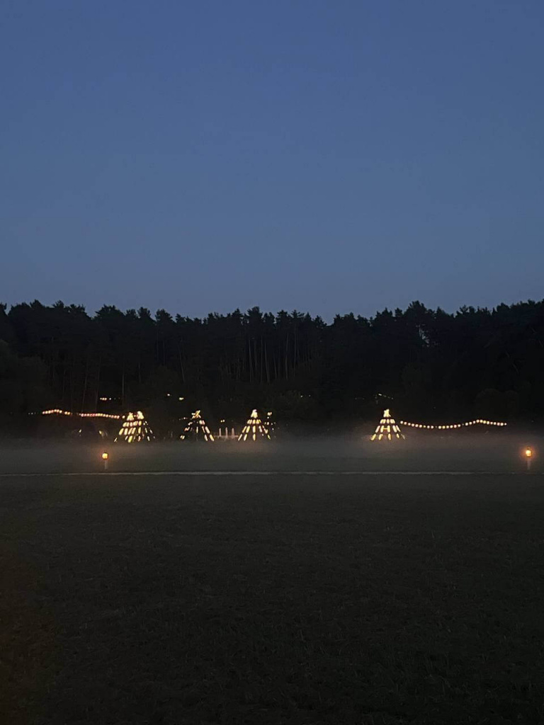 _Pine_night_field.jpg