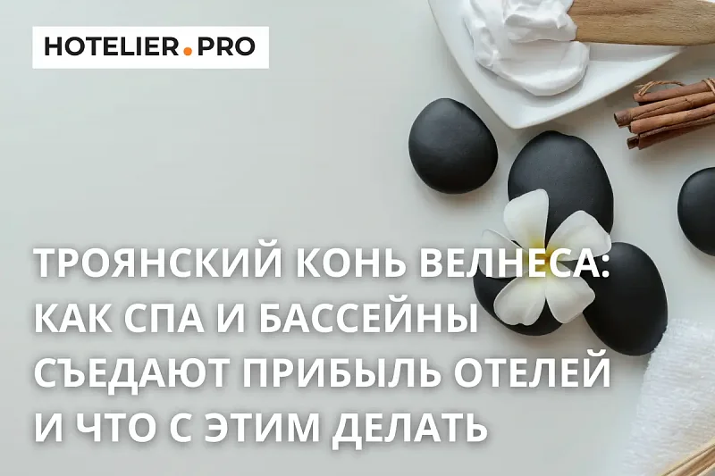 ТРОЯНСКИЙ КОНЬ ВЕЛНЕСА: КАК СПА И БАССЕЙНЫ СЪЕДАЮТ ПРИБЫЛЬ ОТЕЛЕЙ